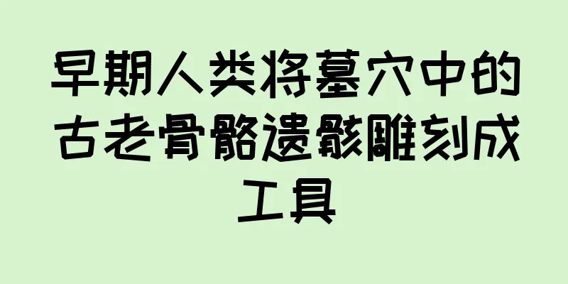 早期人类将墓穴中的古老骨骼遗骸雕刻成工具