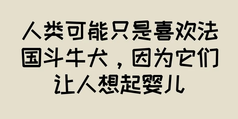 人类可能只是喜欢法国斗牛犬，因为它们让人想起婴儿