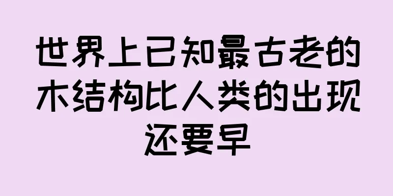 世界上已知最古老的木结构比人类的出现还要早