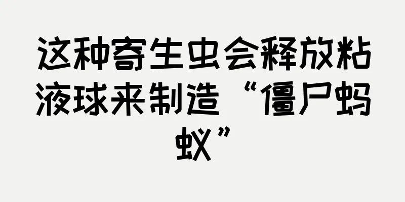 这种寄生虫会释放粘液球来制造“僵尸蚂蚁”