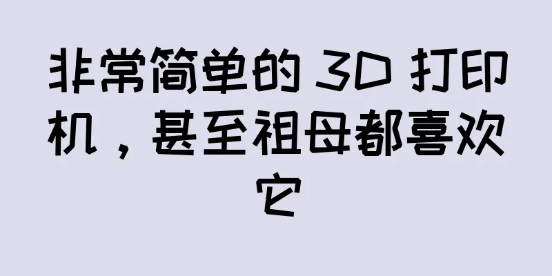 非常简单的 3D 打印机，甚至祖母都喜欢它