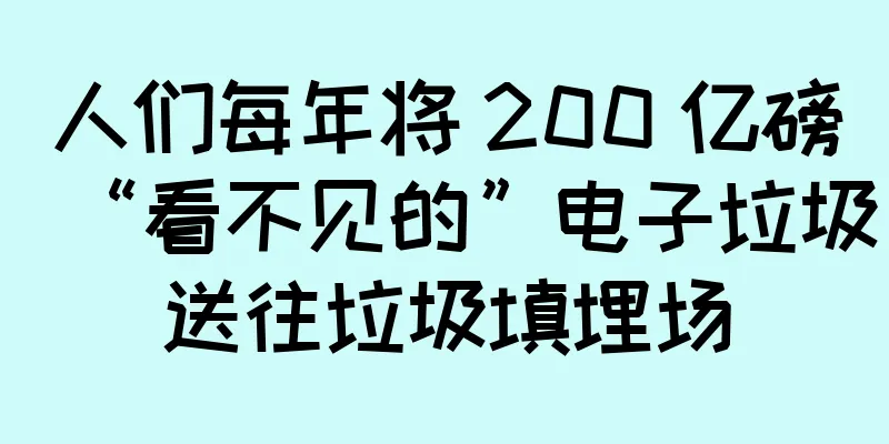 人们每年将 200 亿磅“看不见的”电子垃圾送往垃圾填埋场