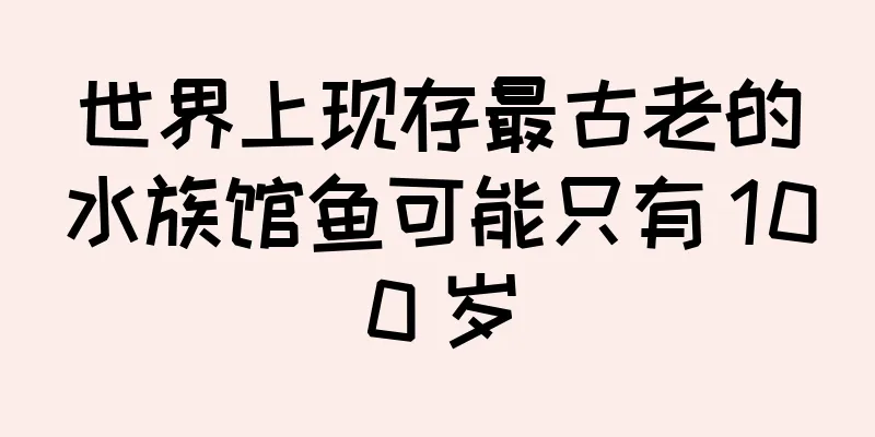 世界上现存最古老的水族馆鱼可能只有 100 岁