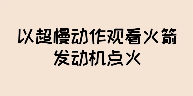 以超慢动作观看火箭发动机点火