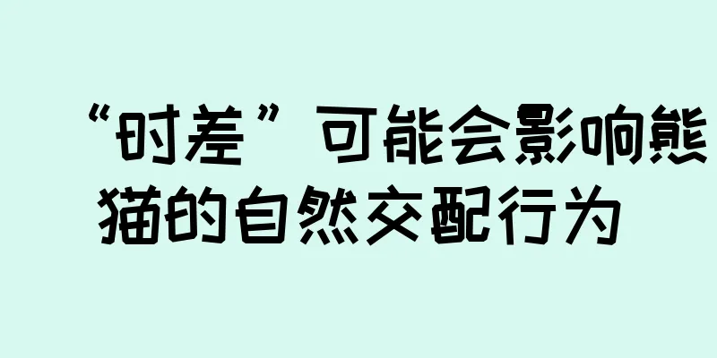 “时差”可能会影响熊猫的自然交配行为