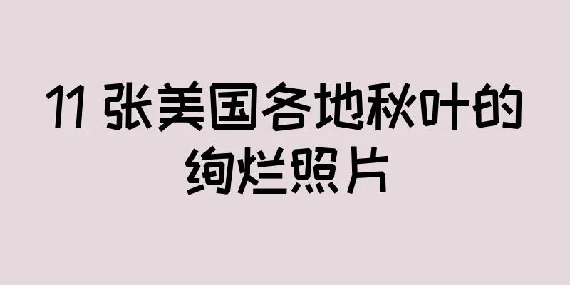11 张美国各地秋叶的绚烂照片