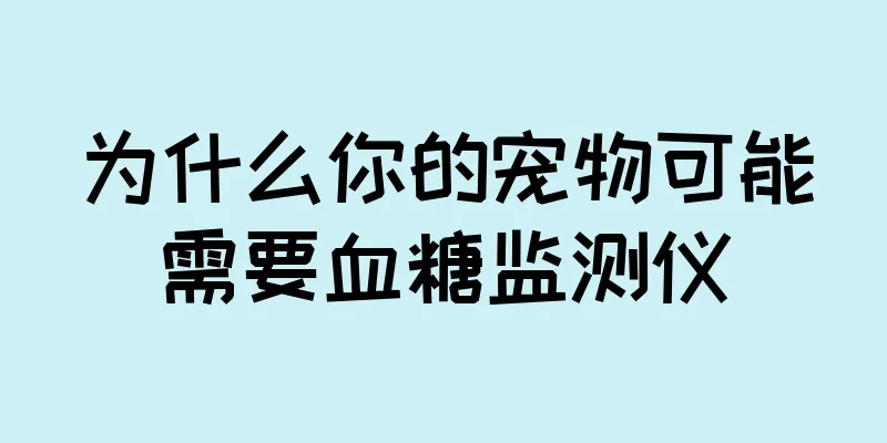为什么你的宠物可能需要血糖监测仪