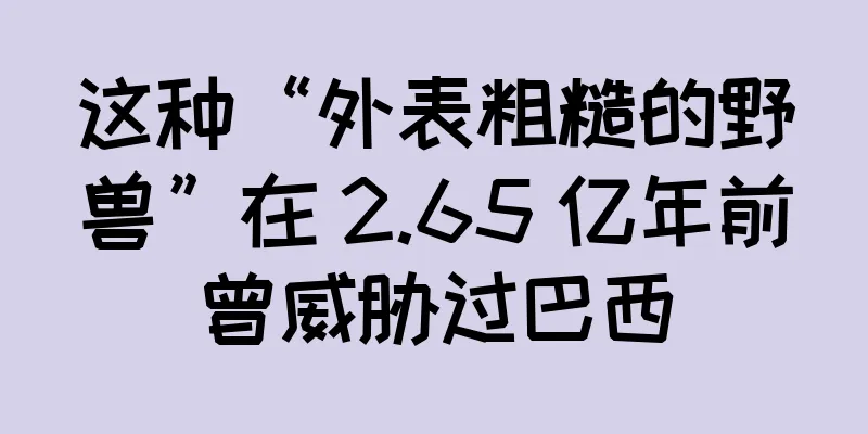 这种“外表粗糙的野兽”在 2.65 亿年前曾威胁过巴西