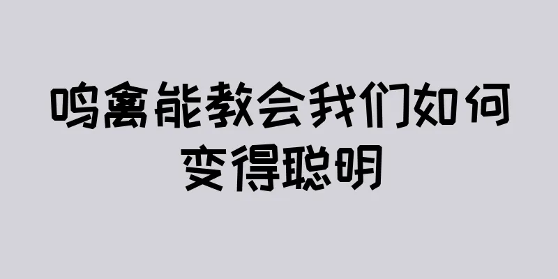 鸣禽能教会我们如何变得聪明