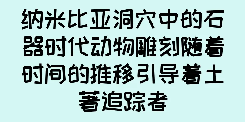 纳米比亚洞穴中的石器时代动物雕刻随着时间的推移引导着土著追踪者