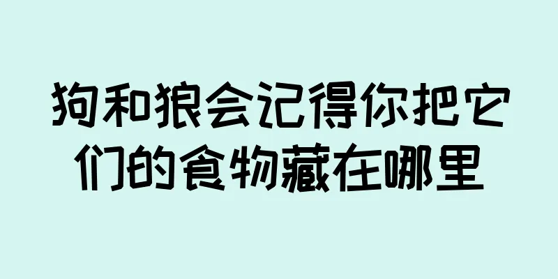 狗和狼会记得你把它们的食物藏在哪里