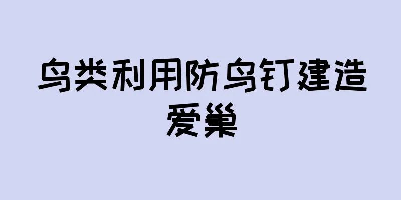 鸟类利用防鸟钉建造爱巢