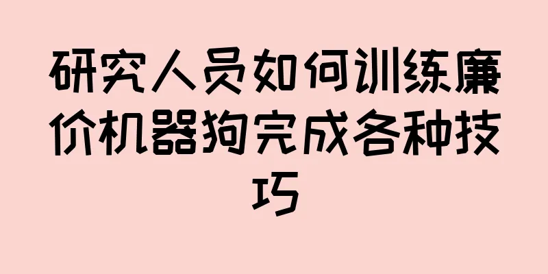 研究人员如何训练廉价机器狗完成各种技巧