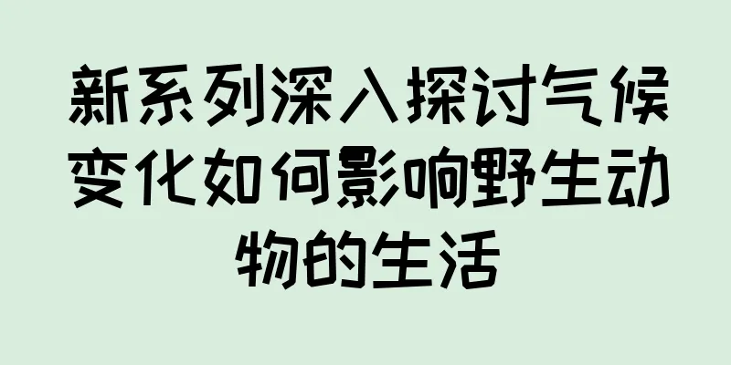 新系列深入探讨气候变化如何影响野生动物的生活