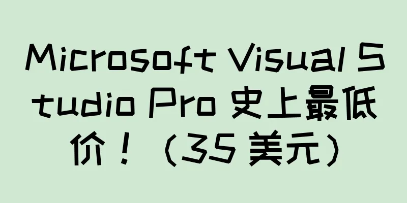 Microsoft Visual Studio Pro 史上最低价！（35 美元）