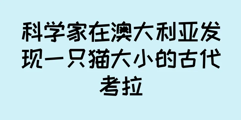 科学家在澳大利亚发现一只猫大小的古代考拉