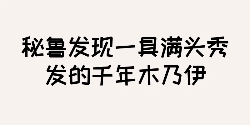 秘鲁发现一具满头秀发的千年木乃伊