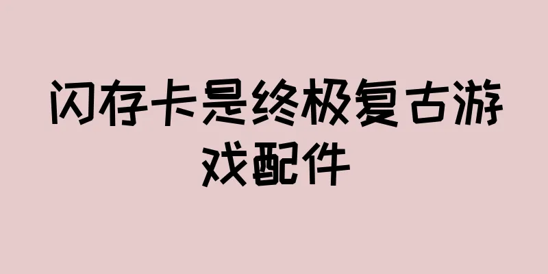 闪存卡是终极复古游戏配件