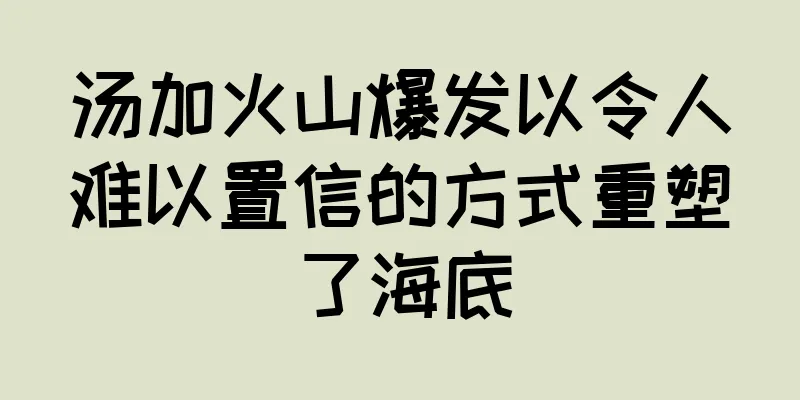汤加火山爆发以令人难以置信的方式重塑了海底