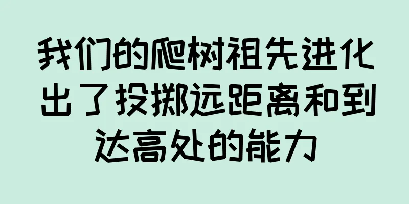 我们的爬树祖先进化出了投掷远距离和到达高处的能力