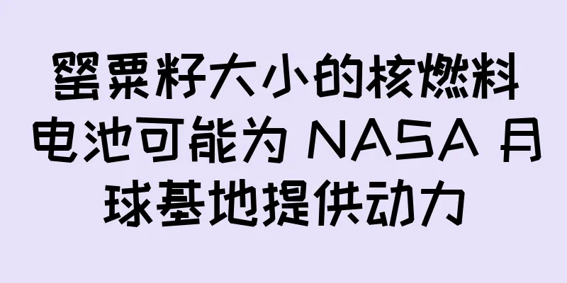 罂粟籽大小的核燃料电池可能为 NASA 月球基地提供动力