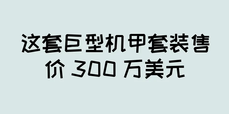 这套巨型机甲套装售价 300 万美元