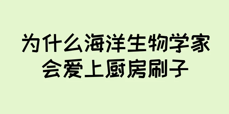 为什么海洋生物学家会爱上厨房刷子