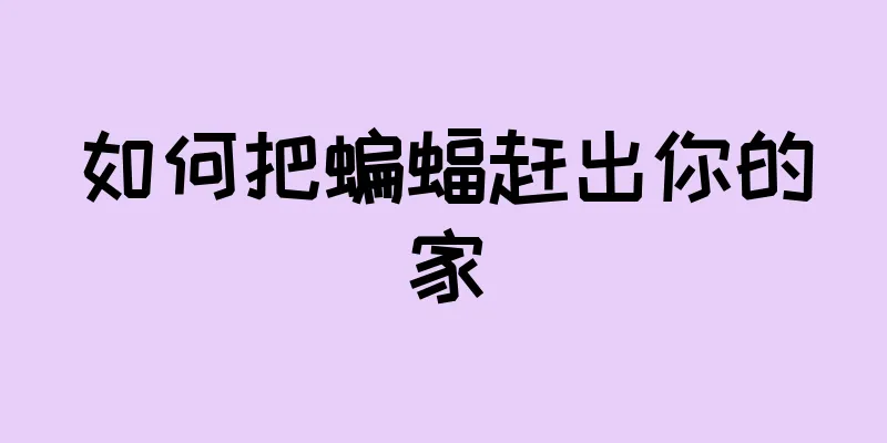 如何把蝙蝠赶出你的家
