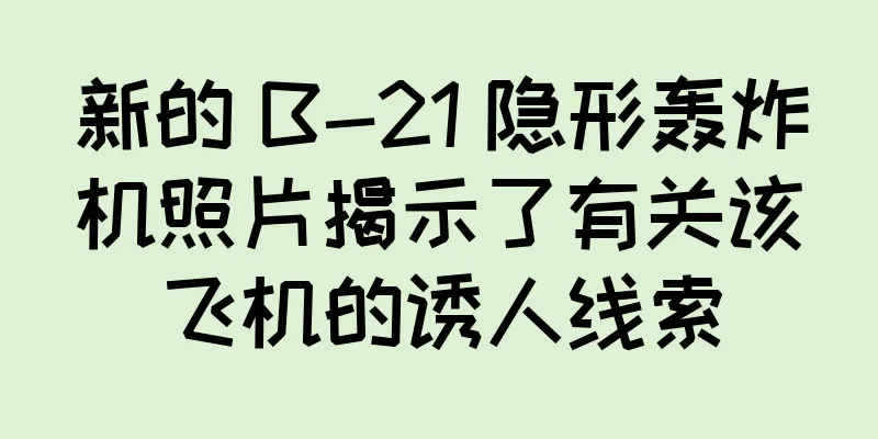 新的 B-21 隐形轰炸机照片揭示了有关该飞机的诱人线索