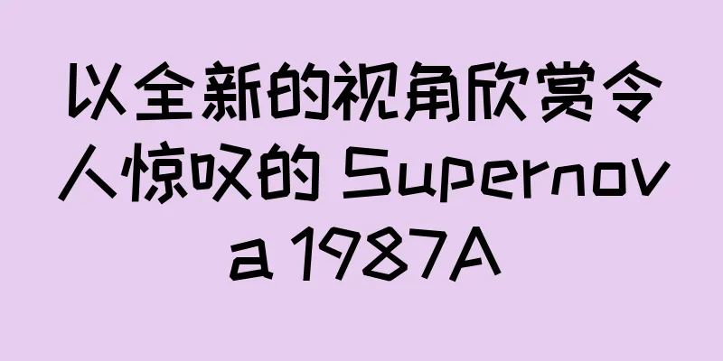 以全新的视角欣赏令人惊叹的 Supernova 1987A