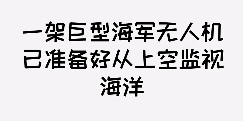 一架巨型海军无人机已准备好从上空监视海洋