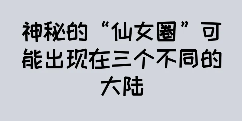 神秘的“仙女圈”可能出现在三个不同的大陆