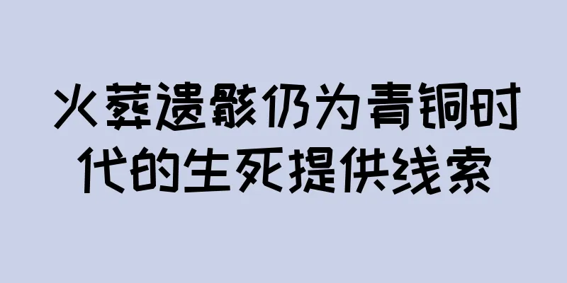 火葬遗骸仍为青铜时代的生死提供线索