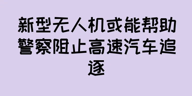 新型无人机或能帮助警察阻止高速汽车追逐