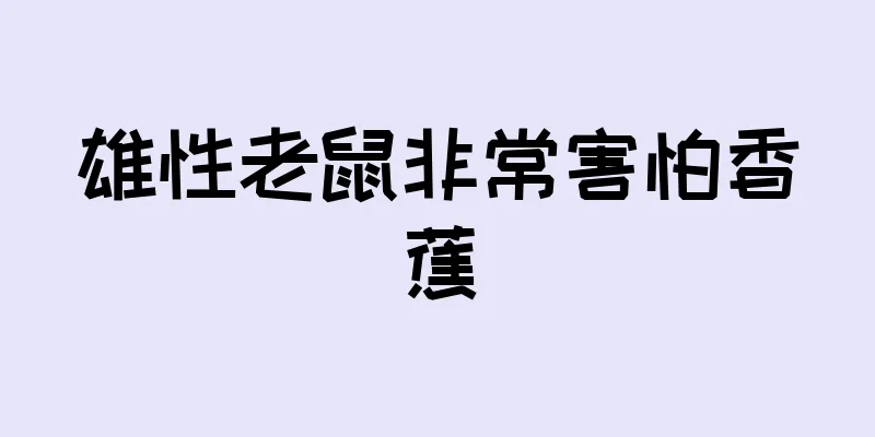雄性老鼠非常害怕香蕉