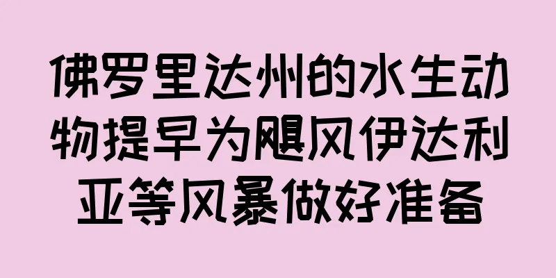 佛罗里达州的水生动物提早为飓风伊达利亚等风暴做好准备