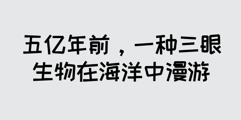 五亿年前，一种三眼生物在海洋中漫游