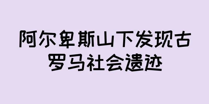 阿尔卑斯山下发现古罗马社会遗迹