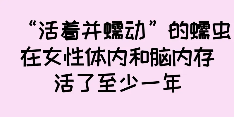“活着并蠕动”的蠕虫在女性体内和脑内存活了至少一年