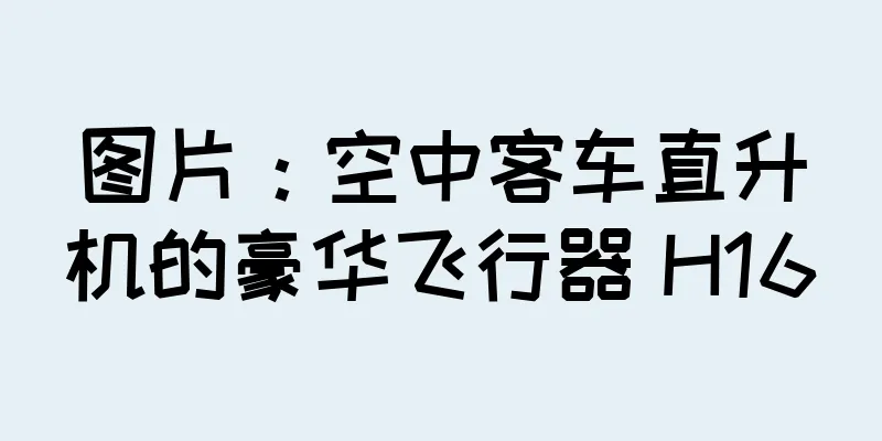 图片：空中客车直升机的豪华飞行器 H160