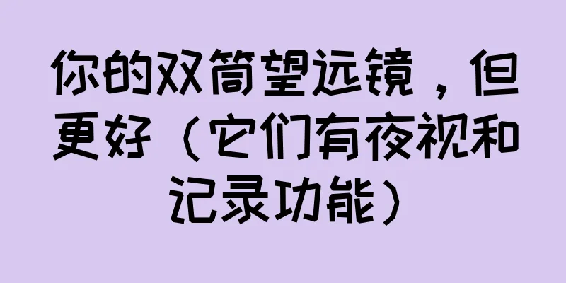 你的双筒望远镜，但更好（它们有夜视和记录功能）