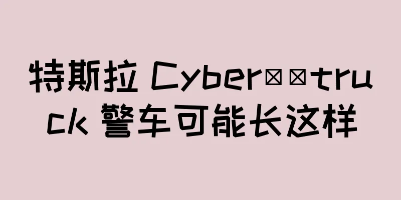 特斯拉 Cyber​​truck 警车可能长这样