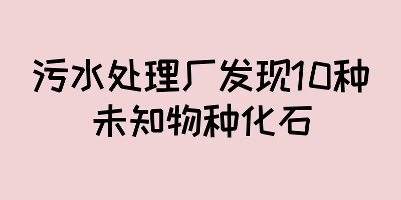 污水处理厂发现10种未知物种化石