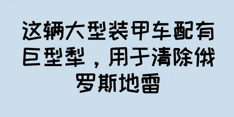 这辆大型装甲车配有巨型犁，用于清除俄罗斯地雷