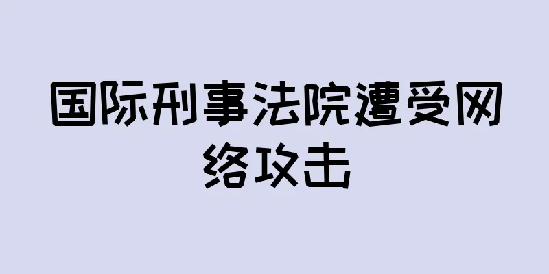 国际刑事法院遭受网络攻击