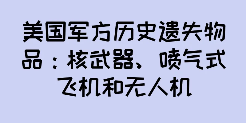 美国军方历史遗失物品：核武器、喷气式飞机和无人机