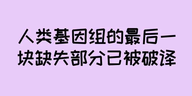 人类基因组的最后一块缺失部分已被破译