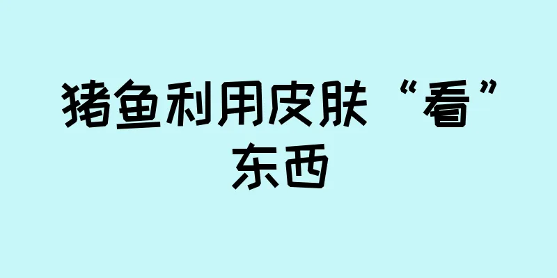 猪鱼利用皮肤“看”东西