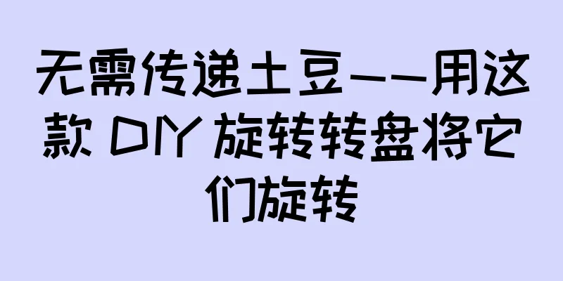 无需传递土豆——用这款 DIY 旋转转盘将它们旋转