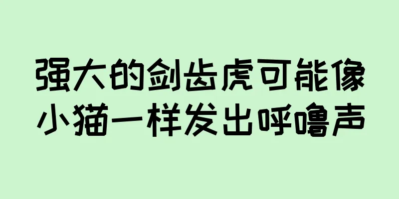 强大的剑齿虎可能像小猫一样发出呼噜声